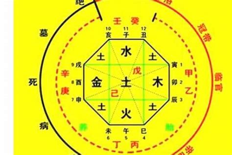 八字命盤五行|生辰八字算命、五行喜用神查询（免费测算）